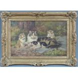 Benno KÖGL (1892 - 1973). Katzenmutter mit drei Kätzchen. 28,5 cm x 44 cm. Gemälde. Öl auf Leinwand.