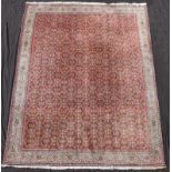 Bidjar Orientteppich. Iran. Feine Knüpfung. 275 cm x 222 cm. Handgeknüpft, Wolle auf Baumwolle.