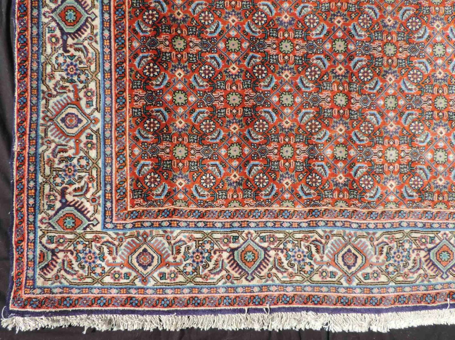 Bidjar Orientteppich. Iran. Feine Knüpfung. 275 cm x 222 cm. Handgeknüpft, Wolle auf Baumwolle. - Bild 3 aus 8