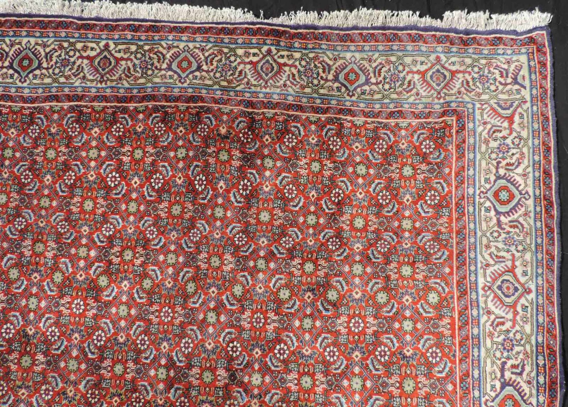 Bidjar Orientteppich. Iran. Feine Knüpfung. 275 cm x 222 cm. Handgeknüpft, Wolle auf Baumwolle. - Bild 5 aus 8