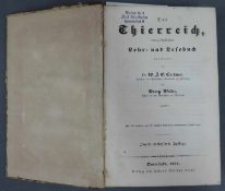 Walter Curtmann, Das Thierreich, naturgeschichtliches Lehr - und Lesebuch. Mit 373 meistens aus