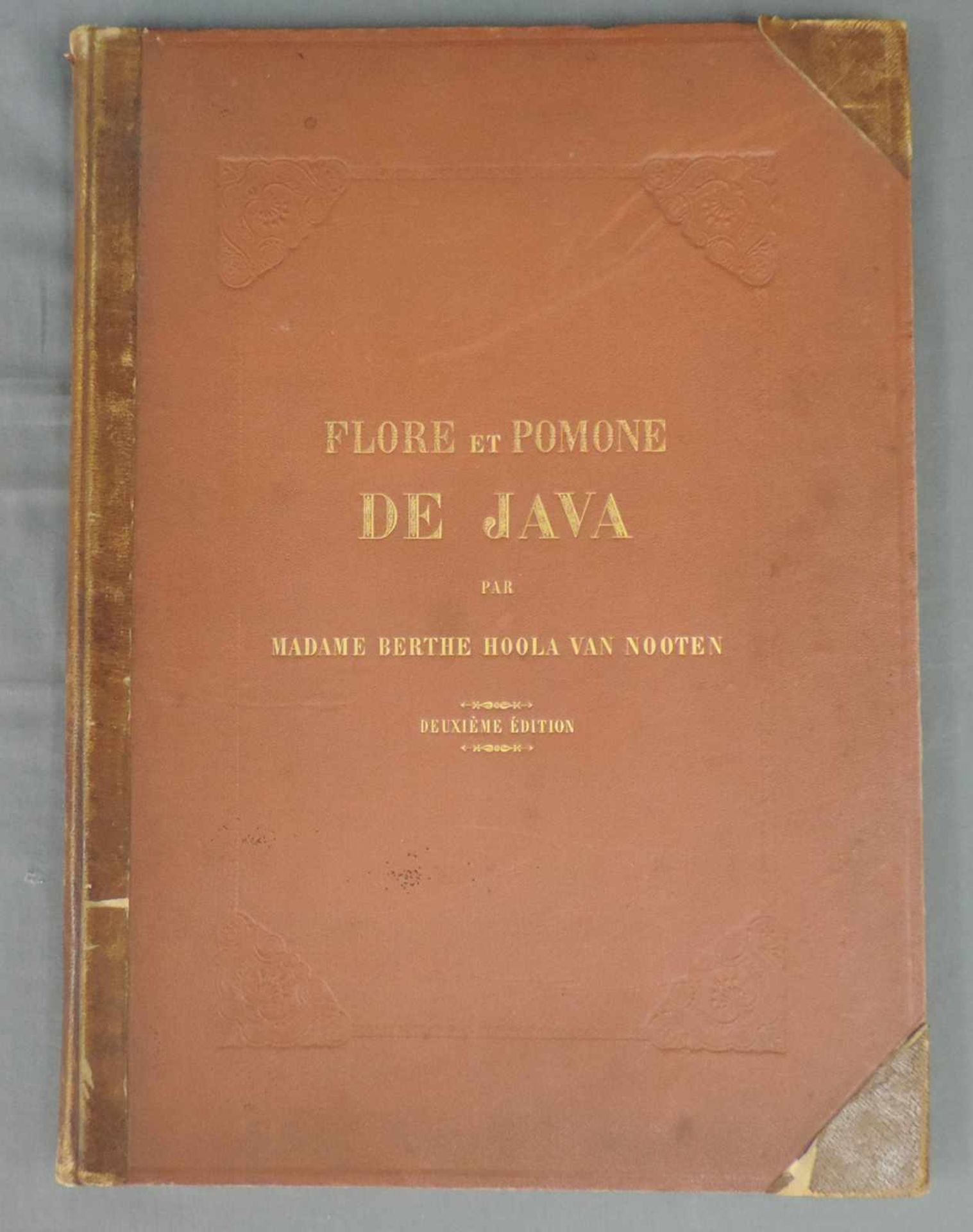 Fleurs fruits et feuillages choisis de l'ile de Java. Ausgabe von 1866. 56,5 cm x 41 cm. Deluxe - Image 4 of 10