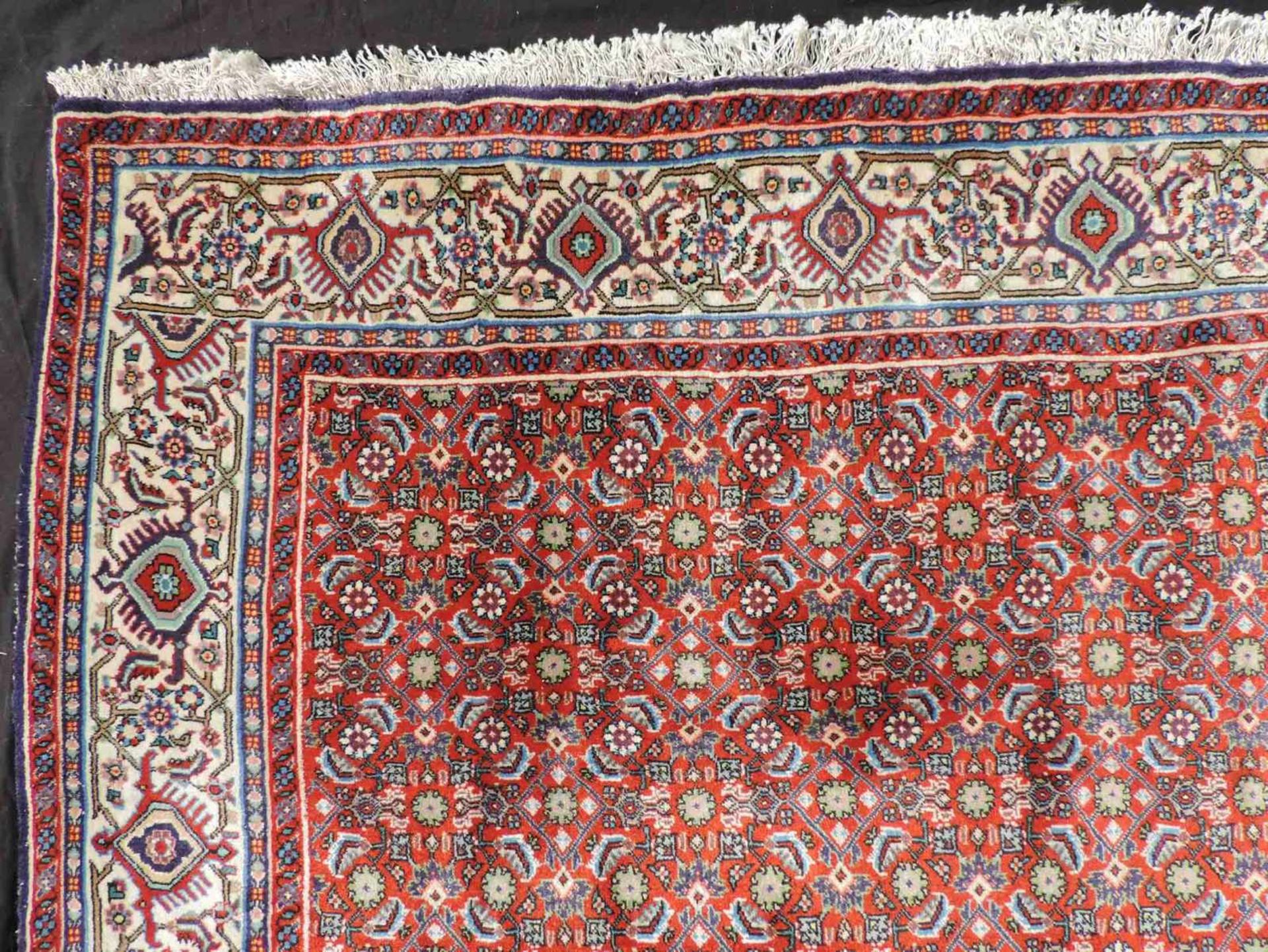 Bidjar Orientteppich. Iran. Feine Knüpfung. 275 cm x 222 cm. Handgeknüpft, Wolle auf Baumwolle. - Bild 4 aus 8