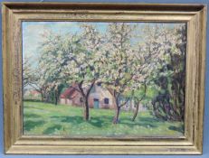 Emmy MEYER (c.1866 - 1940). Blühende Obstbäume 1932. Worpswede. 50 cm x 70 cm. Gemälde. Öl auf