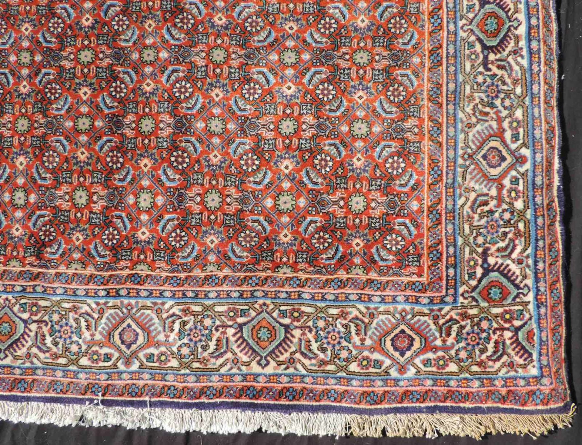 Bidjar Orientteppich. Iran. Feine Knüpfung. 275 cm x 222 cm. Handgeknüpft, Wolle auf Baumwolle. - Bild 2 aus 8