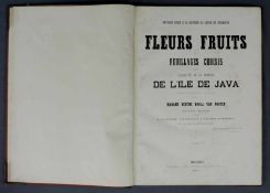 Fleurs fruits et feuillages choisis de l'ile de Java. Ausgabe von 1866. 56,5 cm x 41 cm. Deluxe