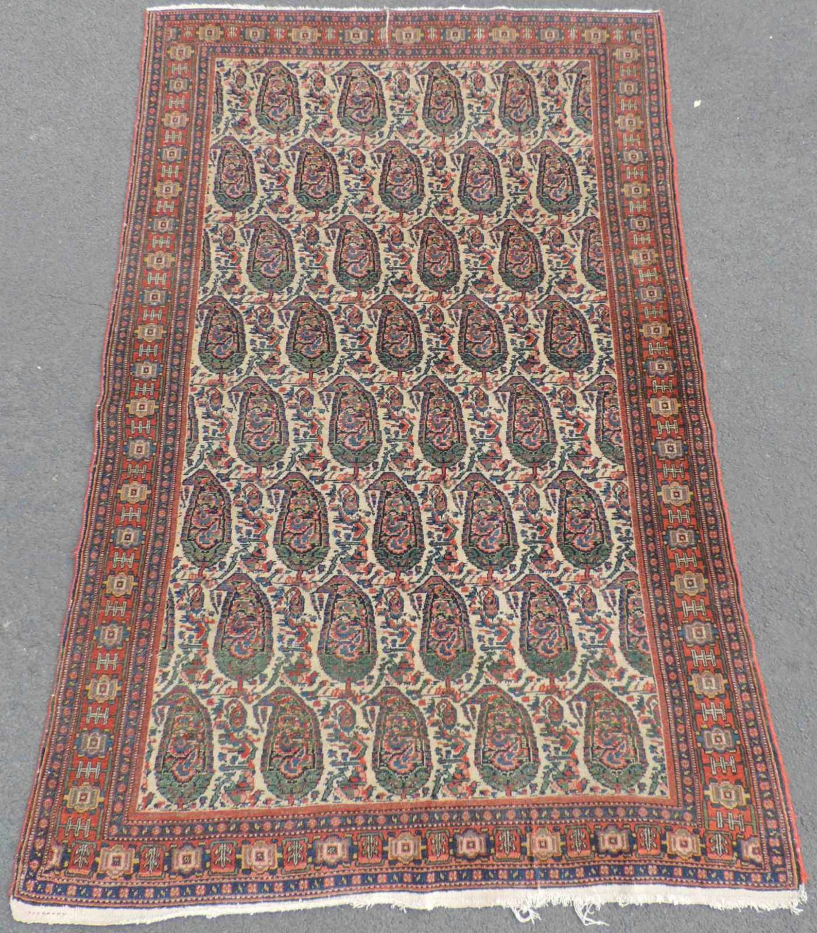 Senneh Dorfteppich. Iran. Antik. Um 1900. 196 cm x 136 cm. Handgeknüpft. Wolle auf Baumwolle. Senneh