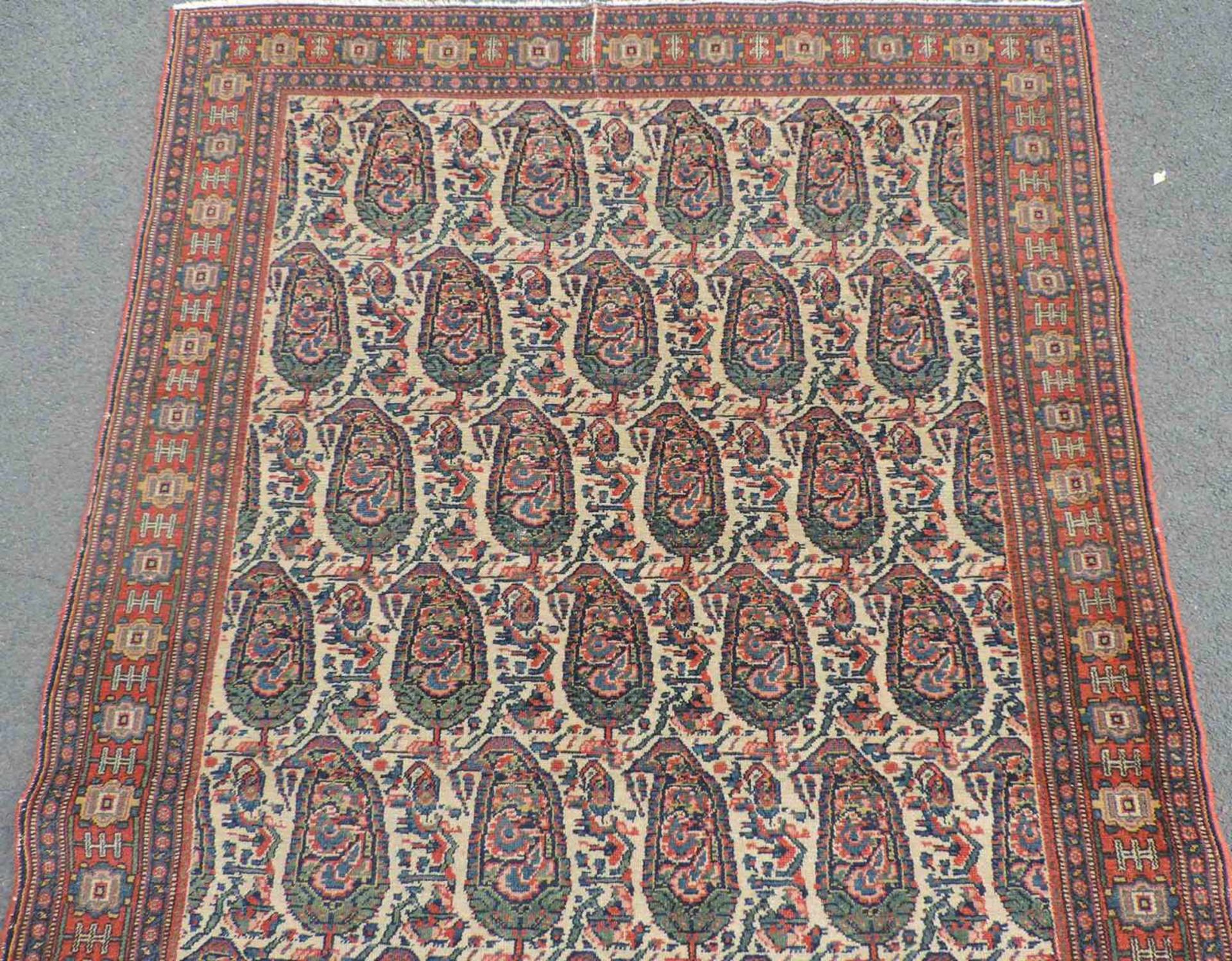 Senneh Dorfteppich. Iran. Antik. Um 1900. 196 cm x 136 cm. Handgeknüpft. Wolle auf Baumwolle. Senneh - Bild 3 aus 5