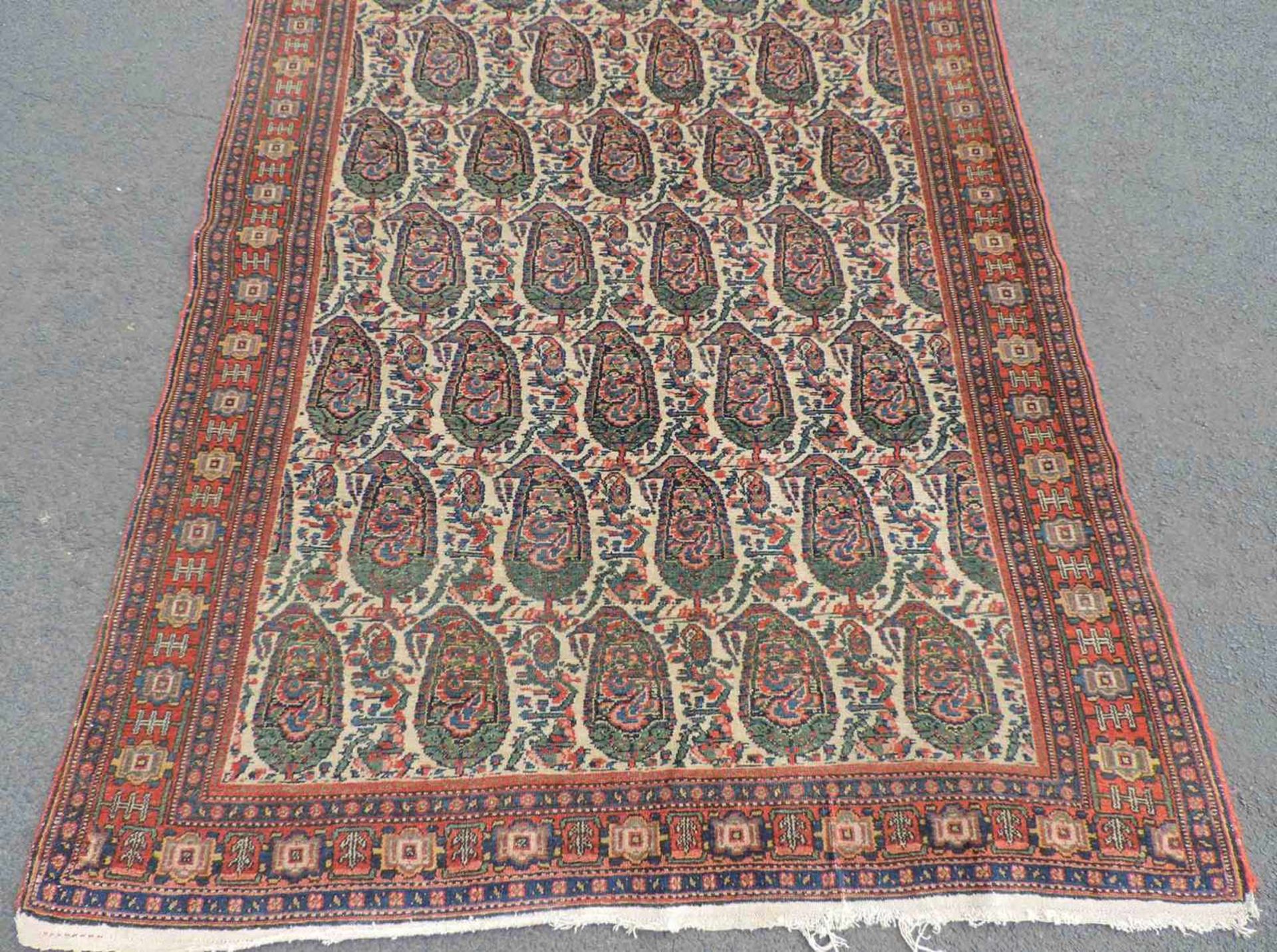 Senneh Dorfteppich. Iran. Antik. Um 1900. 196 cm x 136 cm. Handgeknüpft. Wolle auf Baumwolle. Senneh - Bild 2 aus 5
