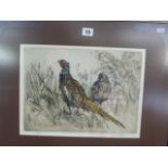Two limited edition engravings after Henry Wilkinson, of a brace of pheasant in undergrowth (27.5