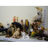 A quantity of parrot and cockatoo figurines including Royal Dux and country artists, two Beswick