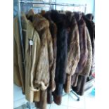 A rail of ten fur and furry coats including musquash, seal, nutria, lamb and two fun fur coats (rail