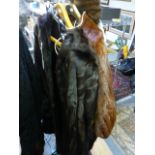 A dark brown full-length squirrel fur coat with decorative cuff detail, and a red squirrel fur cape,