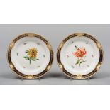 FINE PAIR OF PLATES, VIENNA 19TH CENTURY

white, polychrome and gold glazing, painted with flowers