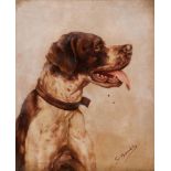 STEFANO BENECH

(Savona 1884 - 1978)



ENGLISH SETTER 

POINTER DOG

Pair of paintings oil on