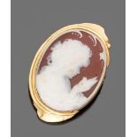 CAMEO BROOCH 

depiciting female figure with dove. Mount in yellow gold 18 kt.

Size cm. 5 x 3,5,