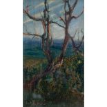 ALESSANDRO LUPO (Torino 1876 - 1953) ALBERO IN PAESAGGIO