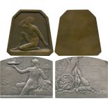 COMMEMORATIVE MEDALS, ART MEDALS, L’Alimentation, Silvered-bronze Medal, by Lamourdedieu, semi-naked