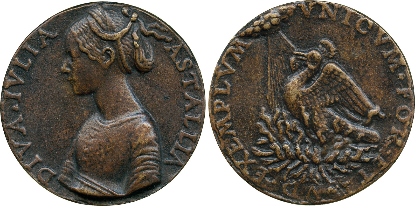 COMMEMORATIVE MEDALS, WORLD MEDALS, Italy, Giulia Astallia, Cast Bronze Medal, by Pier Jacopo di