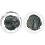 ANCIENT COINS, GREEK COINS, Lucania, Metapontum (c.340-330 BC), Silver Stater, ΛΕΥΚΙΠΠΟΣ (only