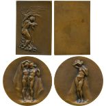 COMMEMORATIVE MEDALS, ART MEDALS, “Les Armes de la France”, Uniface Rectangular Bronze Plaquette,