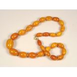 AMBER. A good amber bead necklace. Largest bead 2.5cm. Approx. 40g.