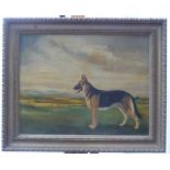 Oil on board of an Alsatian dog against a rural background, 35x45cm gilt framed