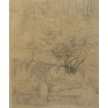 Cecil Higgs [South African] sketch of trees Upper Kloof Neck Road, 40x33cm, description verso,