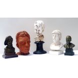 Collection of five busts, the tallest on plinth 33cm high, comprising terracotta, plaster, hollow