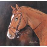 Cherylee Powell: an equestrian portrait of a bay horse with white blaise, oil on board,