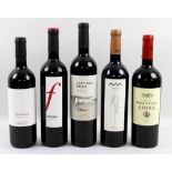 Vintage Wine: a mixed parcel of red wines, including a bottle of Domaine Bessa Valley, Enira,