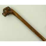 A folk art hazel wood walking stick, the top carved with a bulldog or boxer head, 88cm.