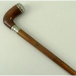 A 19th century burr walnut pipe walking stick, the screw top a pipe with screw lid,