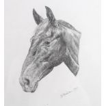 S. W. Stockton: a pencil study of a horses head, signed lower left, dated 1987, 30 by 40cm.