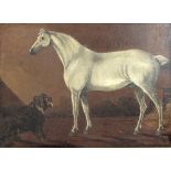 A 19th century portrait of a white horse with a snarling black dog, oil on board, 26 by 36cm.