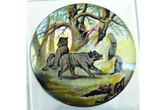 ﻿BEARS ON ROCK. (KM 10) Multicoloured pot lid, 3.5ins diam, probably produced by T.J & J. Mayer.