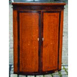 CORNER CUPBOARD. 42ins tall, 32ins at bowed front, 21.5ins deep. Double doors with inlaid seashell