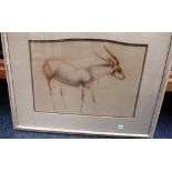 John Rattenbury Skeaping (1901-1980), Deer, pencil and red chalk, signed and dated '31, 26cm x 38cm.