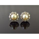 A pair of white gold, diamond and cultured pearl set cluster earstuds,