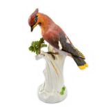 A Meissen porcelain figure of a waxwing, early 20th century,