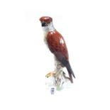 Nine Spode porcelain models of wild birds, 20th century, including; a kingfisher, a hoopoo,