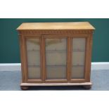 A 20th century oak free standing collector's cabinet, each side with a pair of glazed doors,