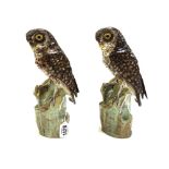 A pair of German porcelain models of owls, early 20th century,