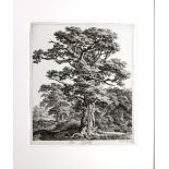 Carl Wilhelm Kolbe the elder (1759-1835), A small collection of six etchings, all unframed,
