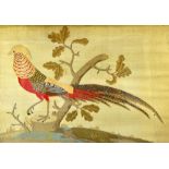 A Victorian needlework embroidery depicting a Golden Pheasant against a cream ground,