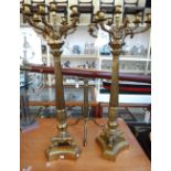 A pair of gilt bronze Empire style eight branch candelabra, 20th century,