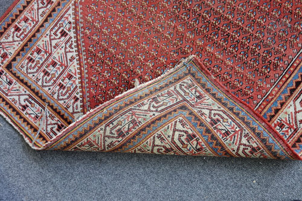 A Saraband rug, Persian, the madder field filled with botehs, ivory spandrels and matching border, - Image 4 of 4