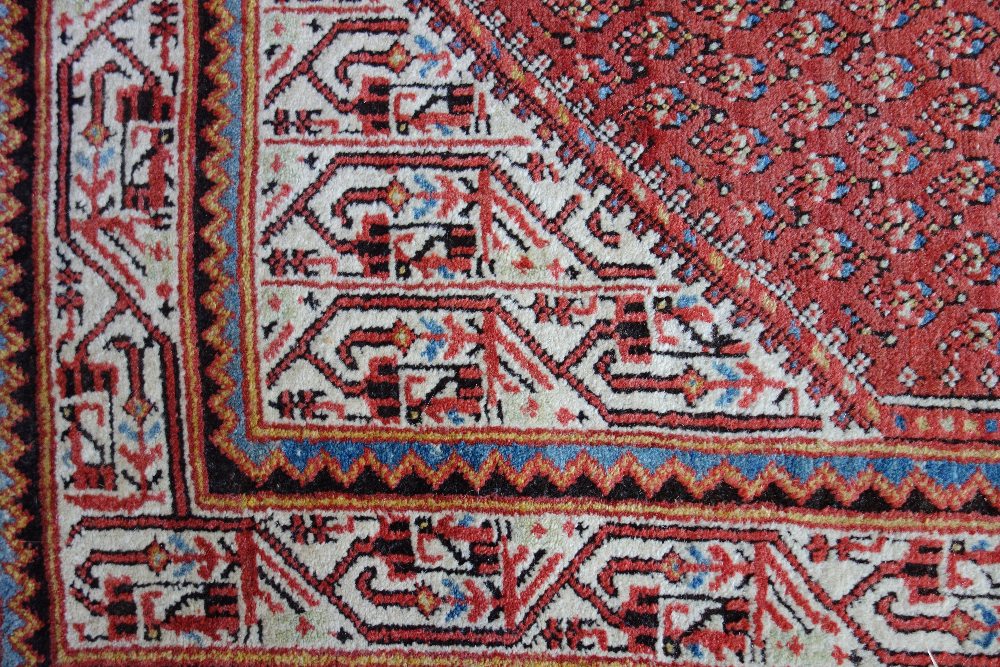 A Saraband rug, Persian, the madder field filled with botehs, ivory spandrels and matching border, - Image 2 of 4