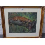 Arthur Wardle (1864-1949), Puma and Macaw, gouache and pastel, signed, 35cm x 47cm.