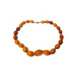 A single row necklace of graduated vary coloured butterscotch coloured oval amber beads,